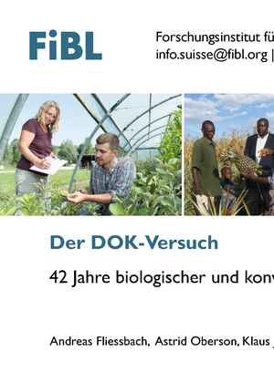 Der DOK-Versuch (Foliensammlung)